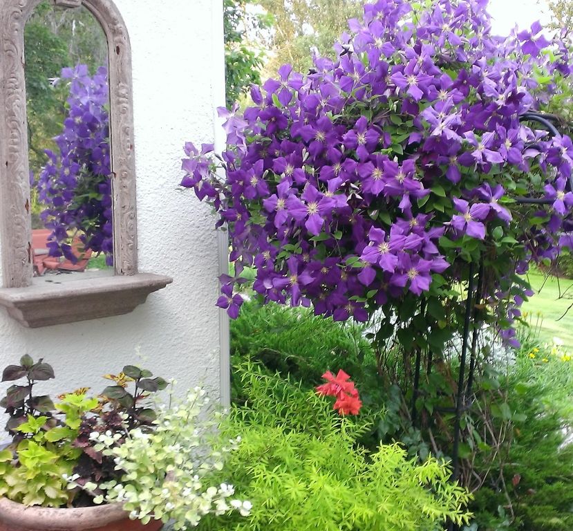 8925 LaValle Creek Road, Missoula, MT 59808 photo 25