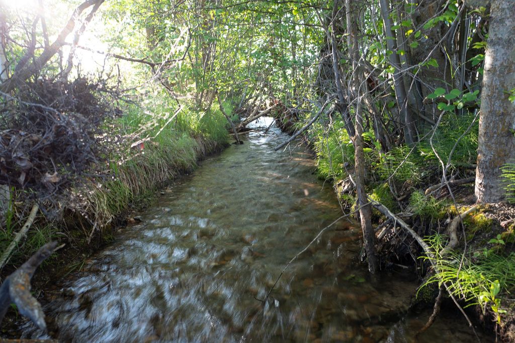 8925 LaValle Creek Road, Missoula, MT 59808 photo 64