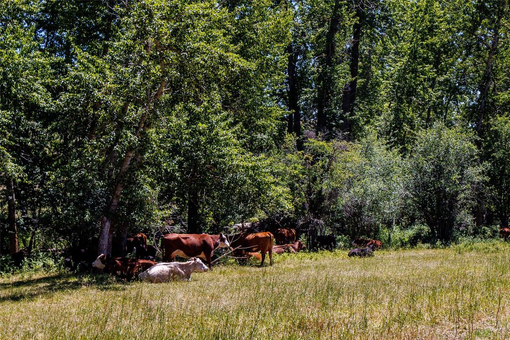 8925 LaValle Creek Road, Missoula, MT 59808 photo 67
