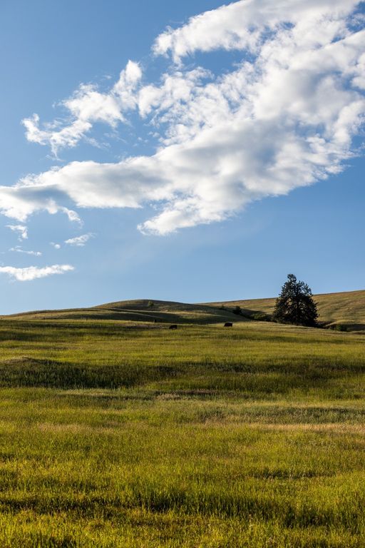 8925 LaValle Creek Road, Missoula, MT 59808 photo 76