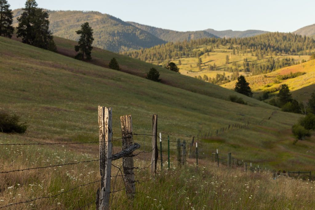 8925 LaValle Creek Road, Missoula, MT 59808 photo 83