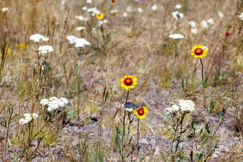 8925 LaValle Creek Road, Missoula, MT 59808 photo 95