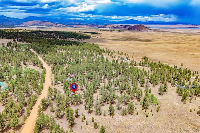 436 Hayhook Way, Hartsel, CO 80449