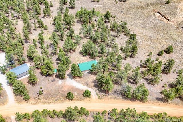 436 Hayhook Way, Hartsel, CO 80449