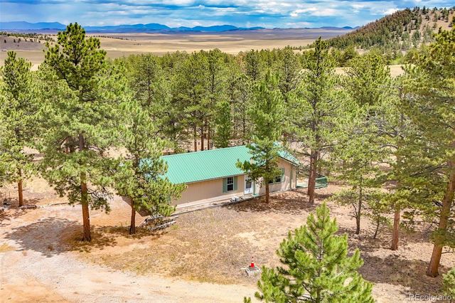 436 Hayhook Way, Hartsel, CO 80449