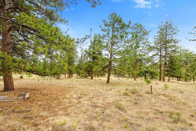 436 Hayhook Way, Hartsel, CO 80449