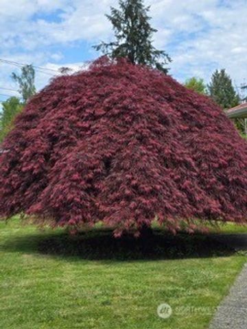 2525 Circle Drive E, Fife, WA 98424