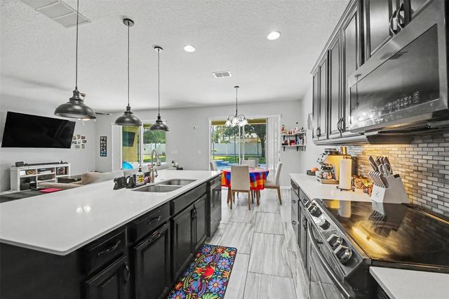 1374 MERION DRIVE, Mount Dora, FL 32757