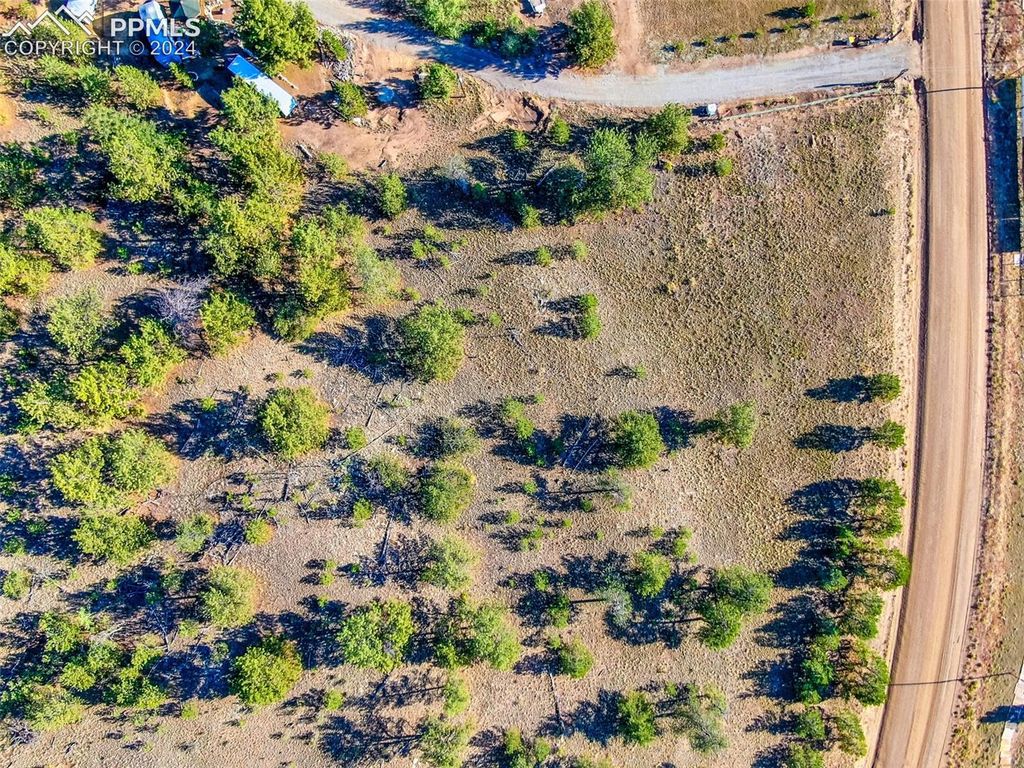 4397 Elkhorn Road, Hartsel, CO 80449 — exterior