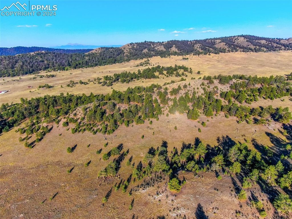 4397 Elkhorn Road, Hartsel, CO 80449 — photo 2