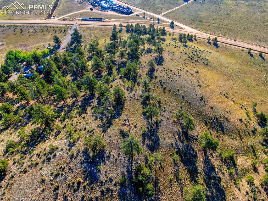 4397 Elkhorn Road, Hartsel, CO 80449 — photo 5
