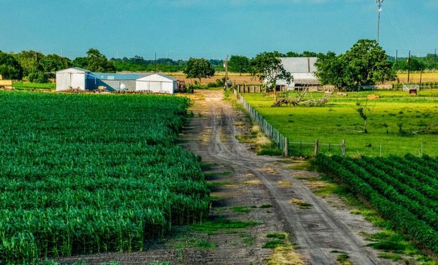 1923 Beasley West End, Beasley, TX 77417