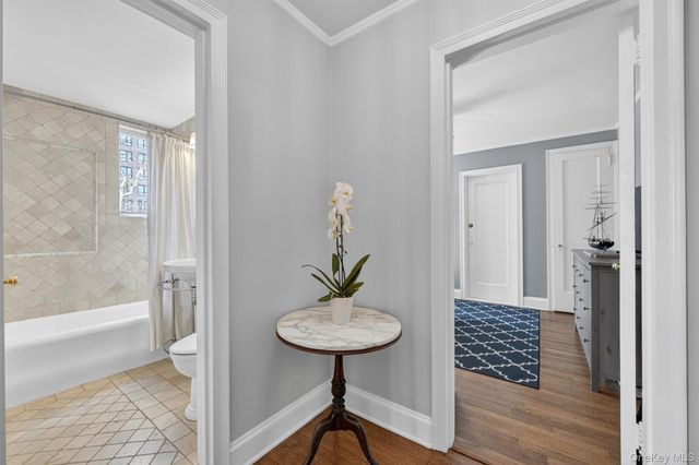 20 N Broadway O372, White Plains, NY 10601