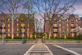 20 N Broadway O372, White Plains, NY 10601