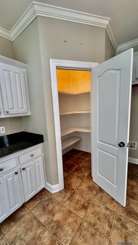 34227 Fountain View Dr, Walker, LA 70785