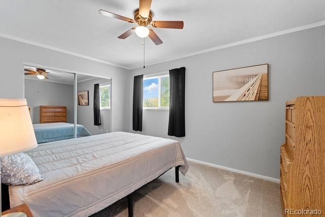 501 Locust Grove Drive, Fort Collins, CO 80521