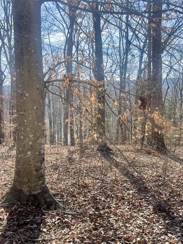 Lot 39 Captains Point, Jamestown, KY 42629