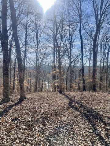 Lot 39 Captains Point, Jamestown, KY 42629