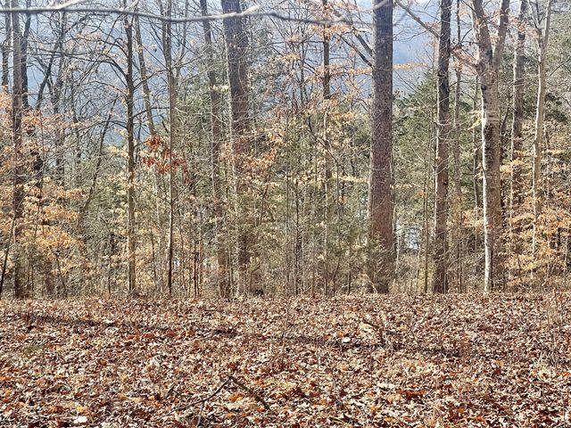 Lot 39 Captains Point, Jamestown, KY 42629