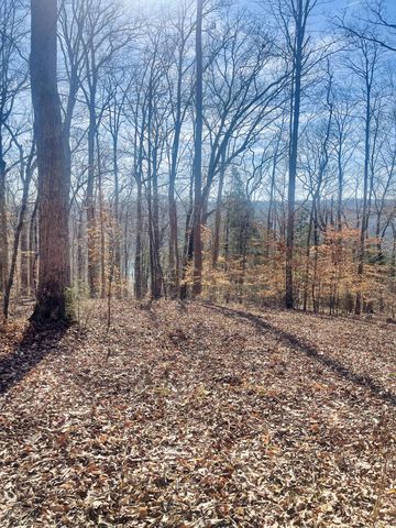 Lot 39 Captains Point, Jamestown, KY 42629