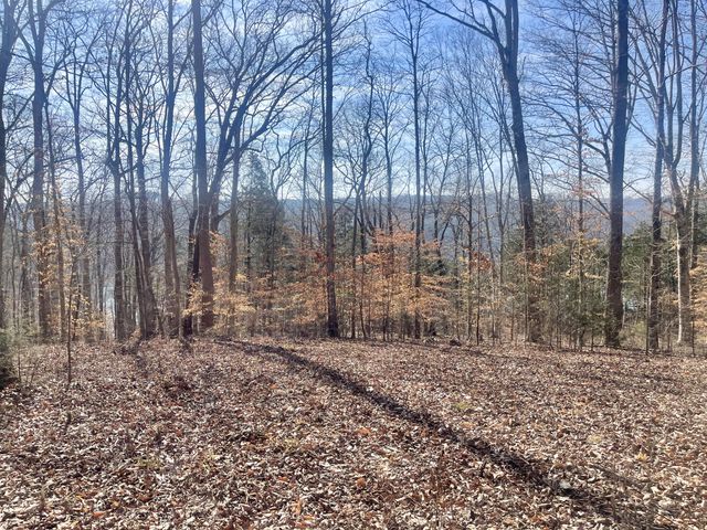 Lot 39 Captains Point, Jamestown, KY 42629