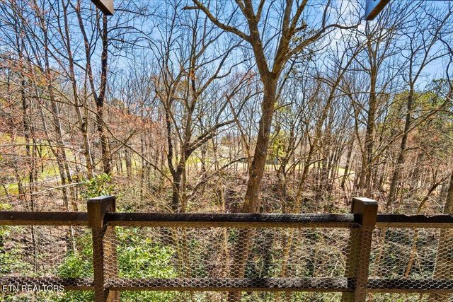 1081 Cove Rd 914, Sevierville, TN 37876