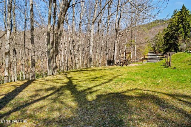 1081 Cove Rd 914, Sevierville, TN 37876