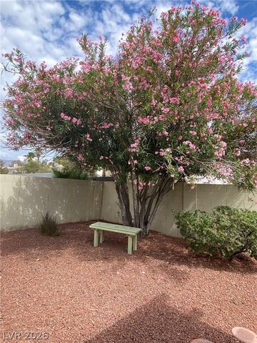 9108 Valley Of Fire Avenue, Las Vegas, NV 89129