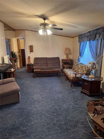 165 Benton Hollow Road, Livingston Manor, NY 12758