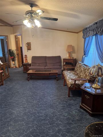 165 Benton Hollow Road, Livingston Manor, NY 12758