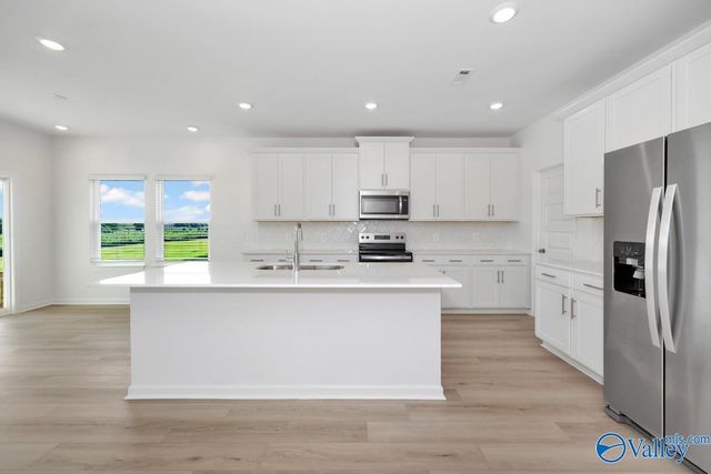 29589 Satilla Circle, Madison, AL 36756