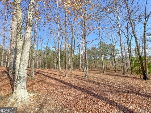 39 Acres on E. Teloga Road, Summerville, GA 30747