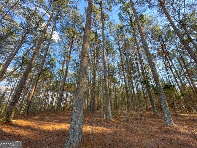 39 Acres on E. Teloga Road, Summerville, GA 30747