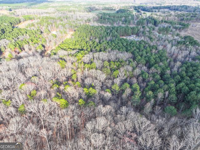 39 Acres on E. Teloga Road, Summerville, GA 30747
