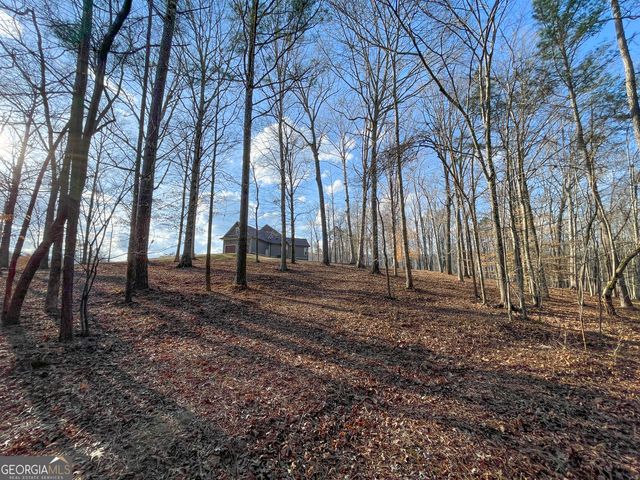 39 Acres on E. Teloga Road, Summerville, GA 30747