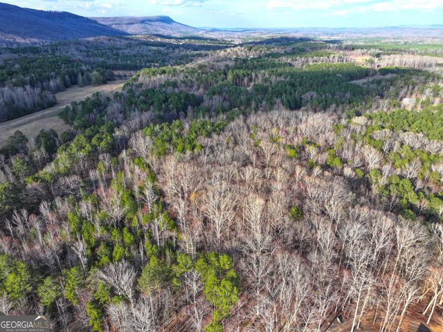 39 Acres on E. Teloga Road, Summerville, GA 30747