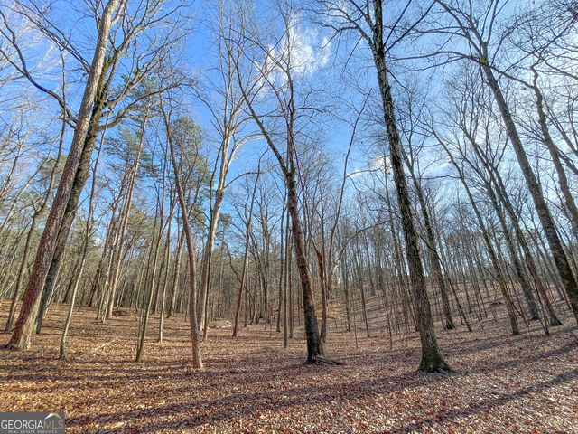 39 Acres on E. Teloga Road, Summerville, GA 30747