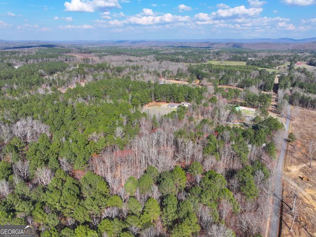 39 Acres on E. Teloga Road, Summerville, GA 30747