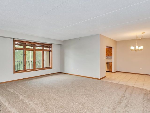 6320 Pine Ridge Drive 1B, Tinley Park, IL 60477