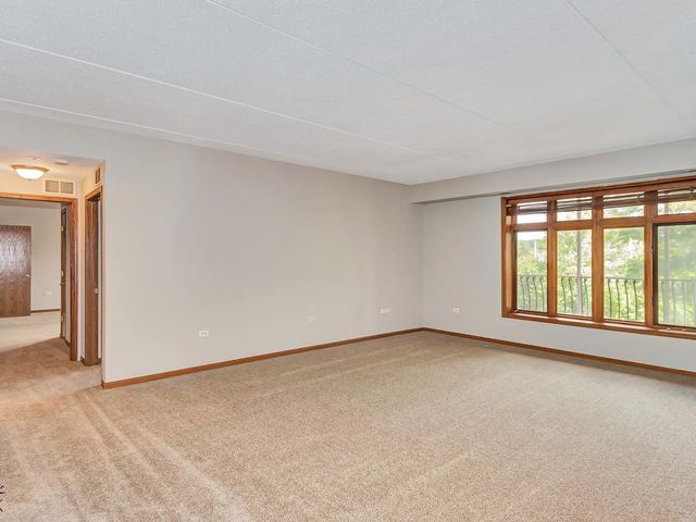 6320 Pine Ridge Drive 1B, Tinley Park, IL 60477