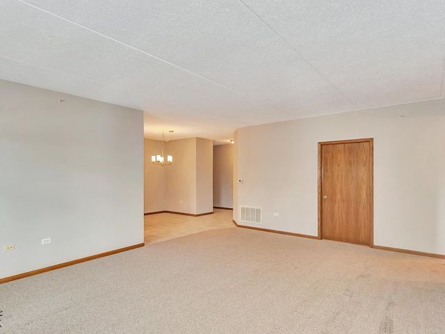 6320 Pine Ridge Drive 1B, Tinley Park, IL 60477