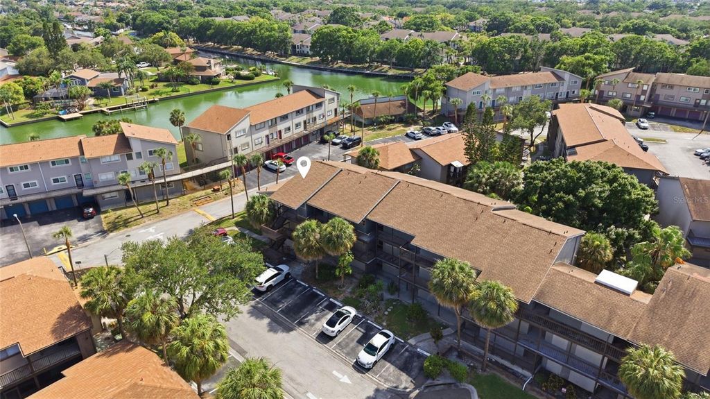6336 NEWTOWN CIRCLE 36C1, Tampa, FL 33615
