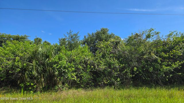 321 Buckskin Street, Palm Bay, FL 32909
