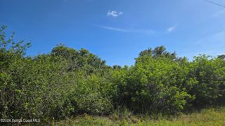 321 Buckskin Street, Palm Bay, FL 32909