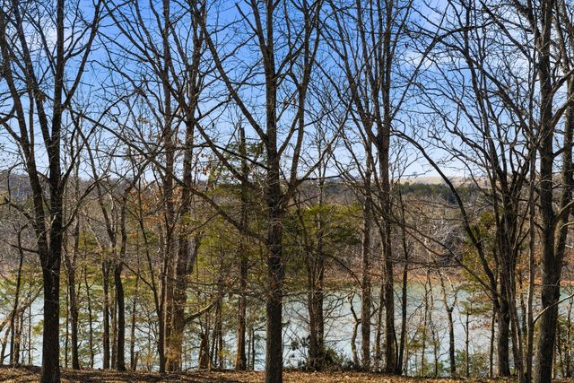 225 Bass Bend Trail, Cape Fair, MO 65624