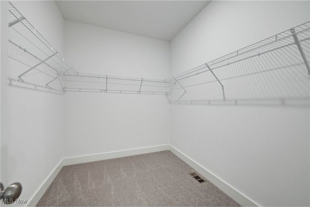 8896 Firethorne Drive, Columbia Station, OH 44028