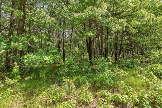 Lot 1 WALLACE PLACE, Stevens Point, WI 54481