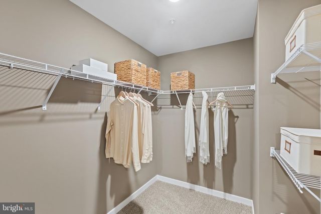 298 LONG BRANCH LN, La Plata, MD 20646