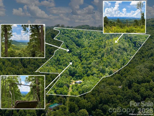 46 Perennial Ridge, Weaverville, NC 28787