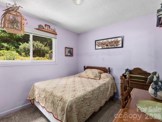 46 Perennial Ridge, Weaverville, NC 28787